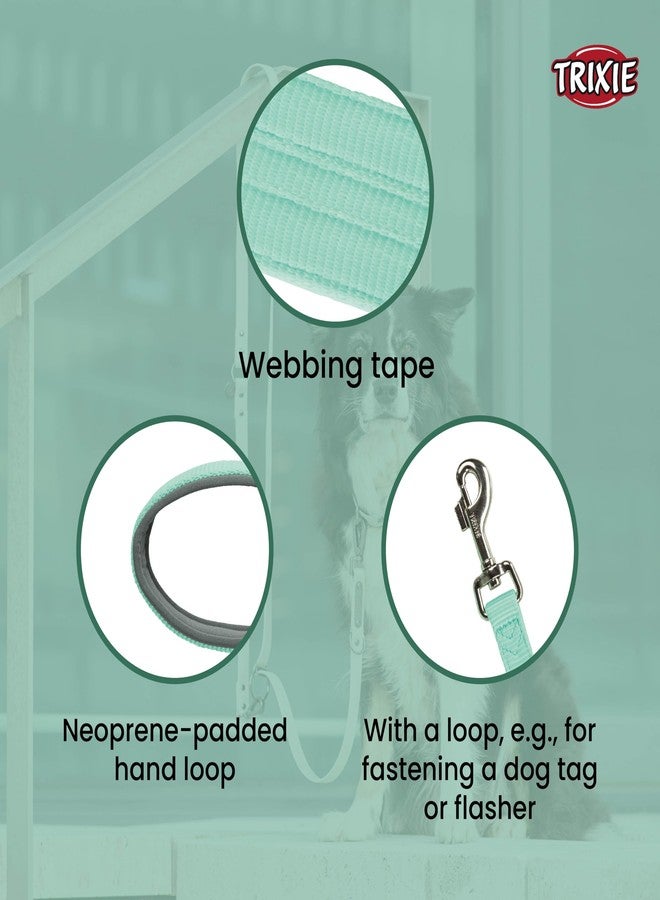 تريكسي، مقود كلاب قصير فاخر مع حلقة يد مبطنة، يناسب: M-XL، 20 كجم أو أكثر (بودل، بولدوغ، لابرادور، هاسكي) الكلاب، 37 سم/25 مم (ML، نعناع) - Image 3